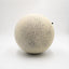 Size 5 Ball Bladder Bundle (5 Count)